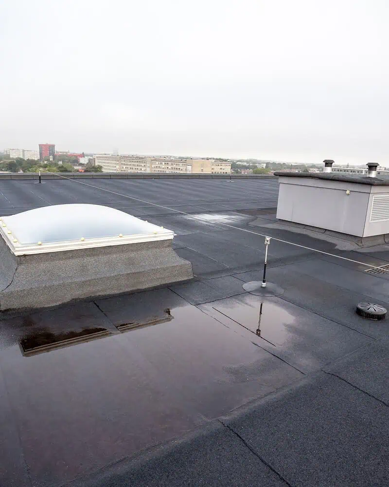 Commercial flat roof with water pooling, skylight, vent, and cityscape—signs of needed commercial roof repair and restoration.
