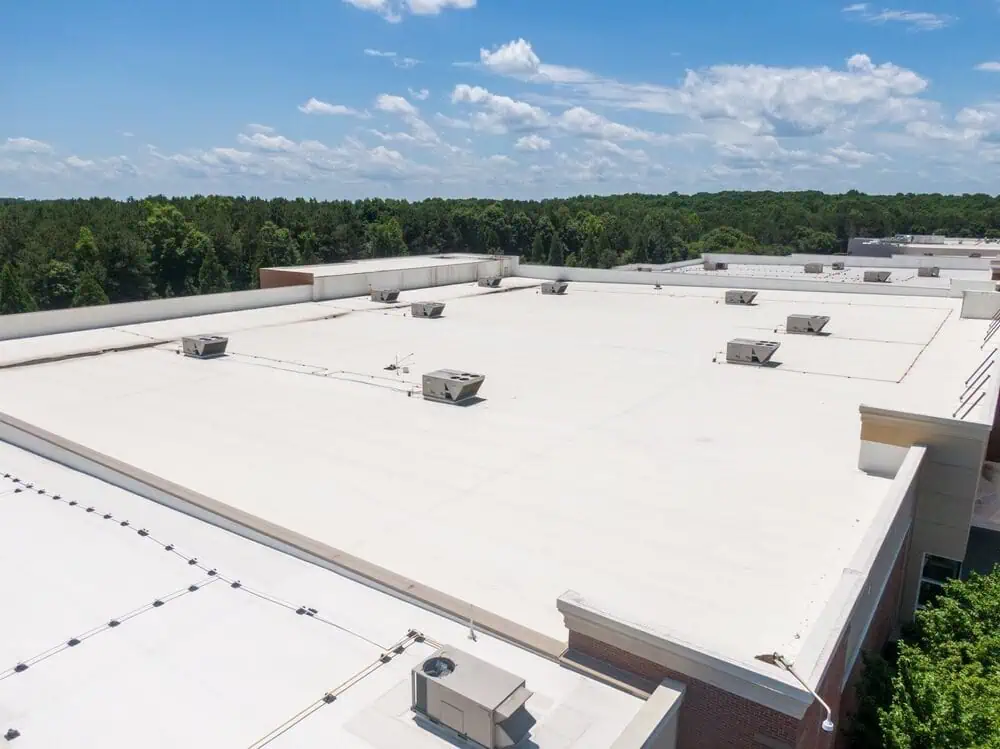 TPO single-ply roof protecting a Texas commercial building